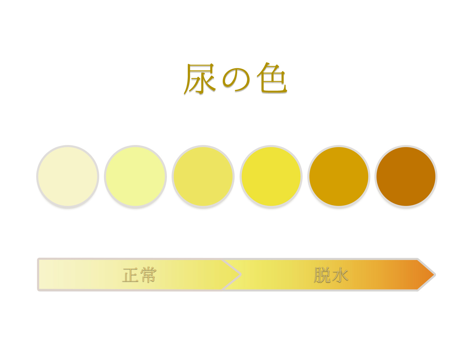 尿 の 色 が 濃い